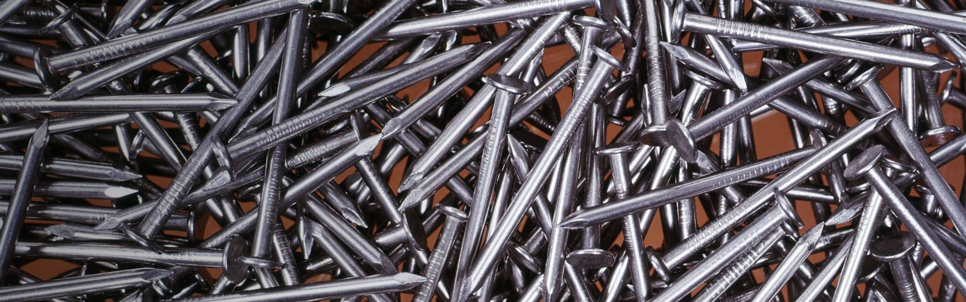 Several stainless steel common nails.