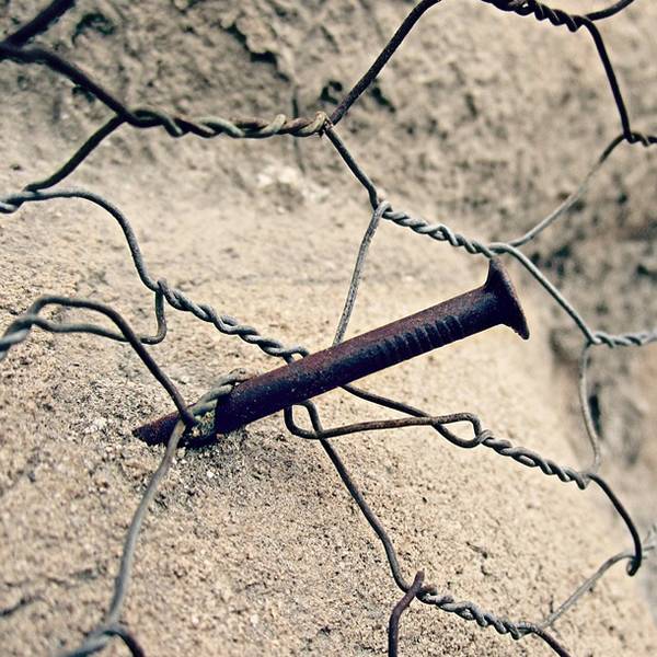 A nail is fastening the chicken wire onto the concrete.